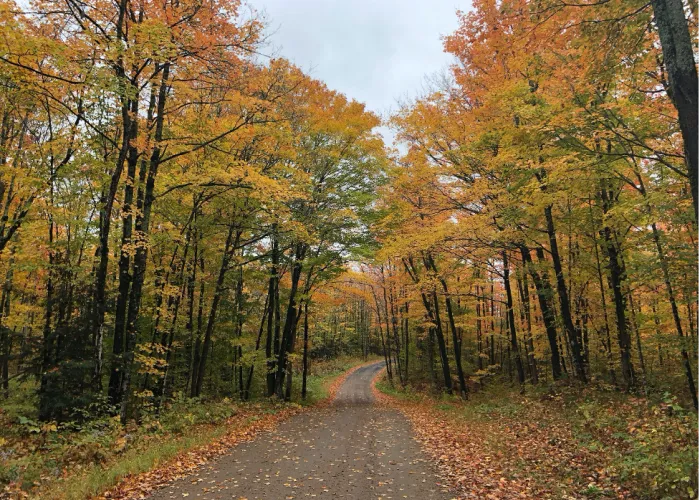 Fall Road
